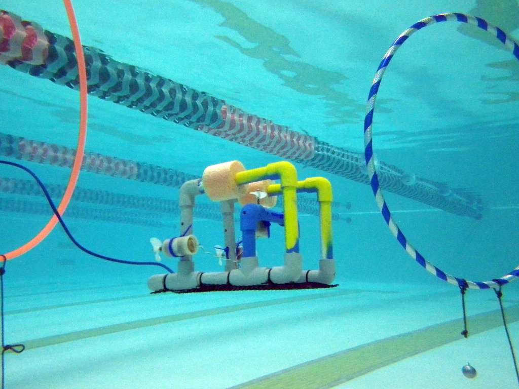 Skills Club Term&nbsp;2